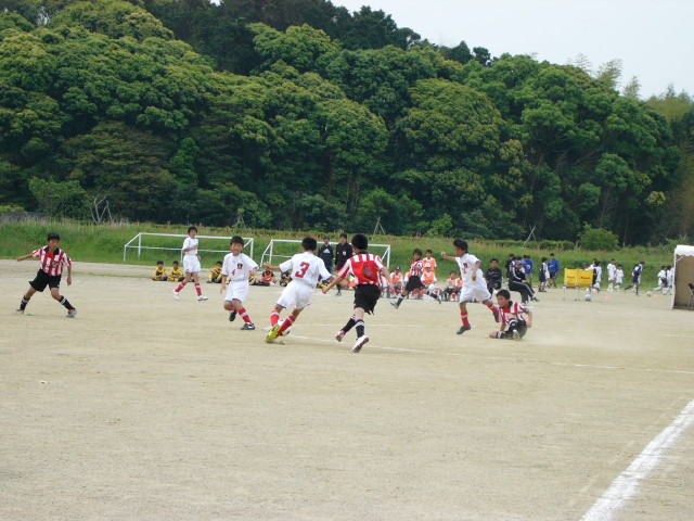 img0015.jpg