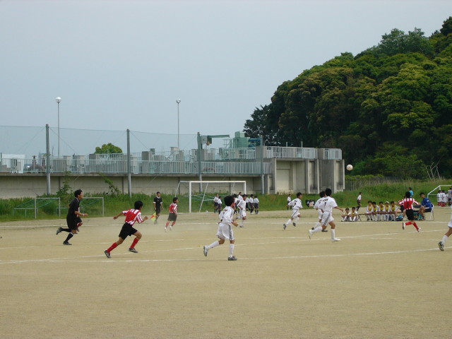 img0019.jpg