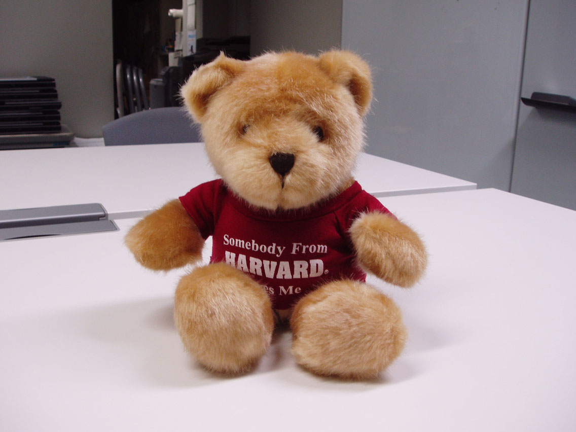 bear (2).JPG