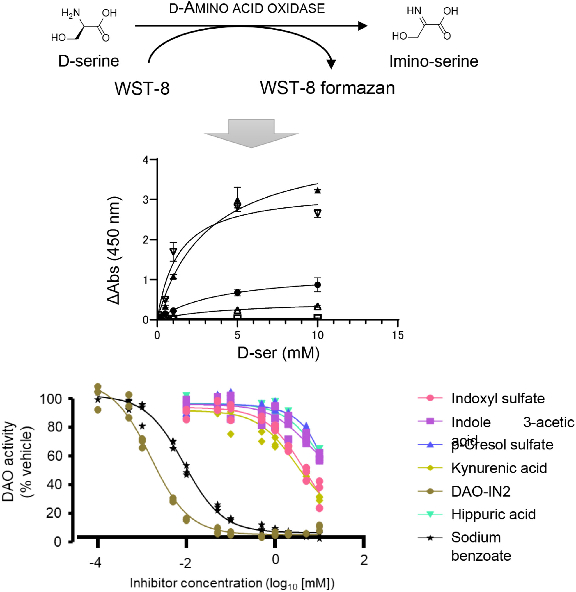 論文サムネイル