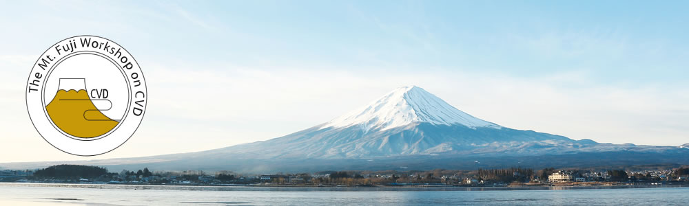 The Mt. Fuji Workshop on CVD｜マウント富士・ワークショップ