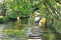 �����q��