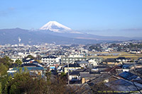 �O������̕x�m�R