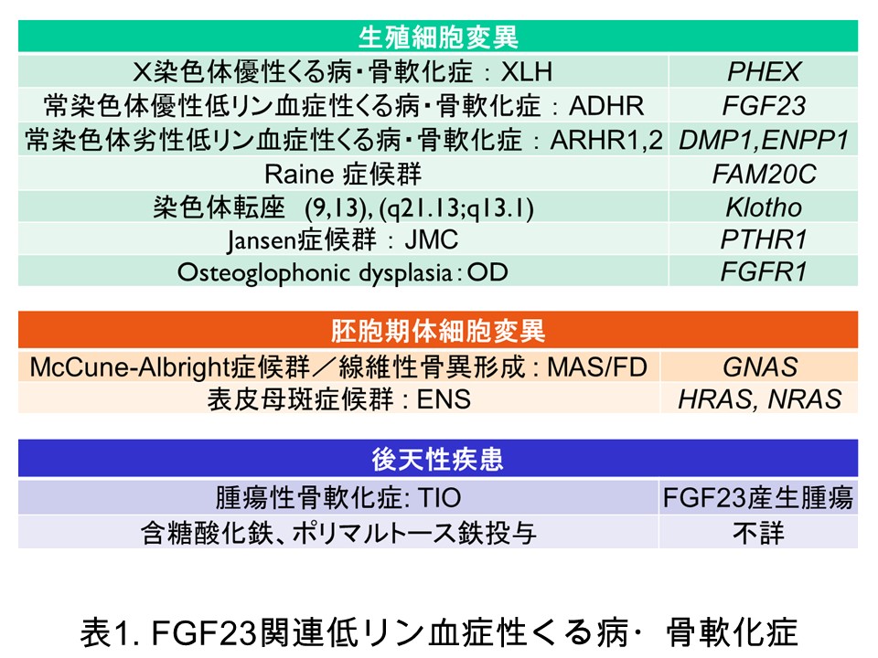 fgf23table01