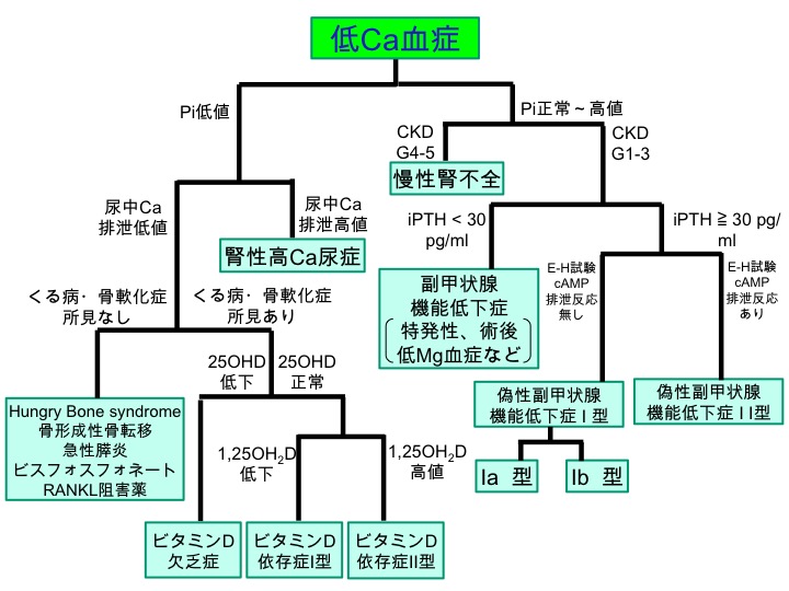 低カルシウム血症はどのように診断されますか?