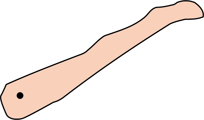 下肢の剛体モデル