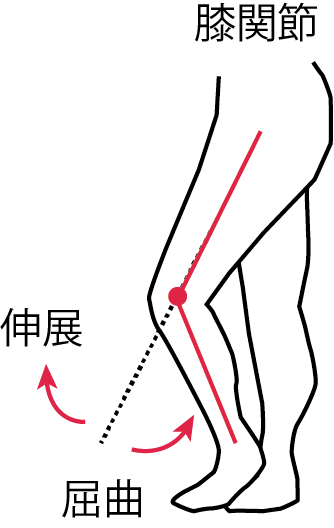 膝関節角度定義