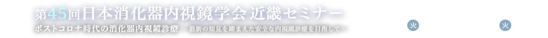 第45回日本消化器内視鏡学会近畿セミナー 2023年12月26日(火)正午～2024年1月11日(木)15:59までWEB開催