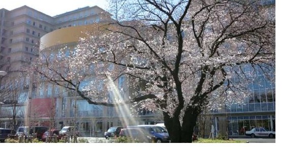 東京都立小児総合医療センター