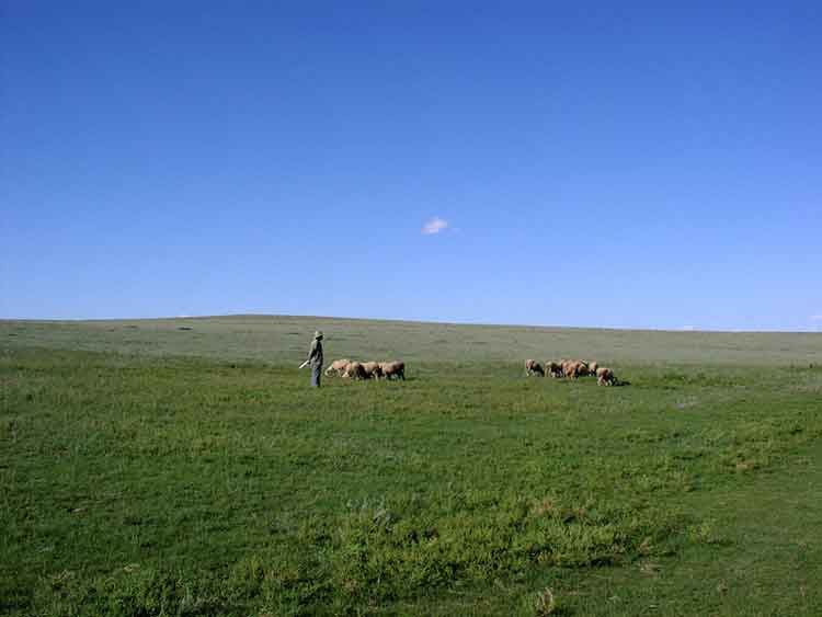 内モンゴル大草原と食事
