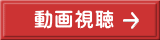 動画視聴