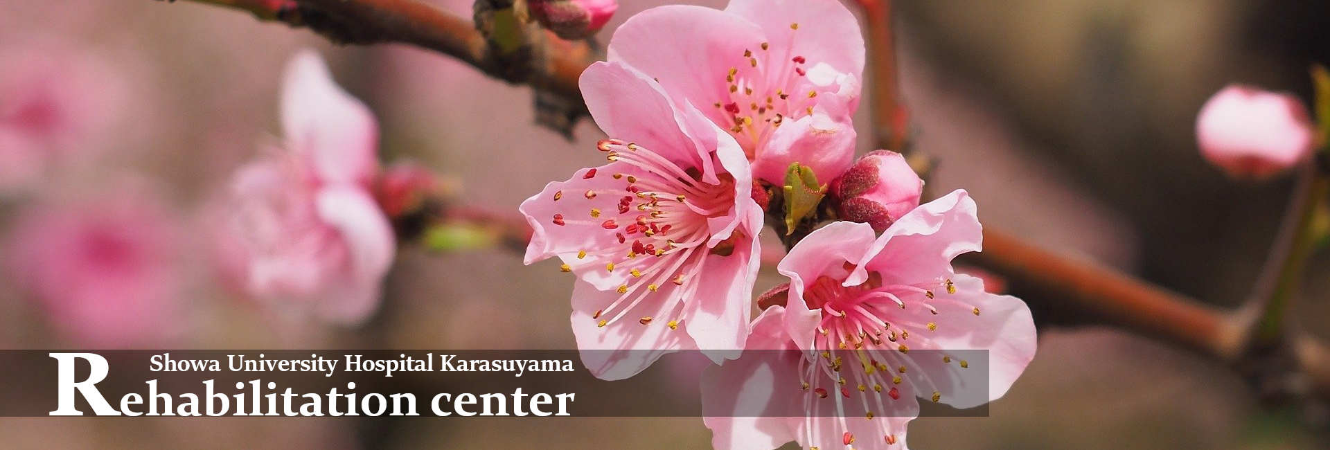 季節タイトル画像