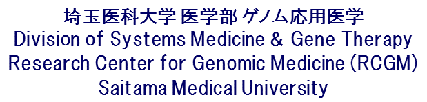 Division of Systems Medicine & Gene Therapy, RCGM, Saitama Medical University