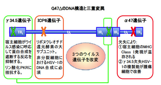 G47DNA\ƎOdψ