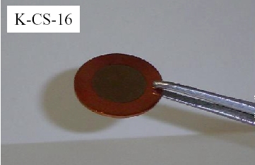 �������ː����ʌ��f�F�A���J