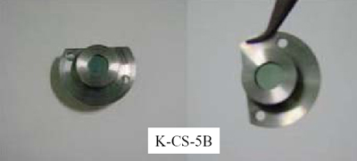 �������ː����ʌ��f�F�A���J