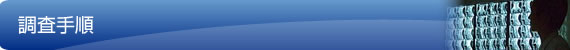 調査手順